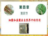 5.4.4  细菌和真菌在自然界中的作用-2024-2025学年生物八年级上册同步备课高效课件