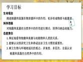 5.4.4  细菌和真菌在自然界中的作用-2024-2025学年生物八年级上册同步备课高效课件
