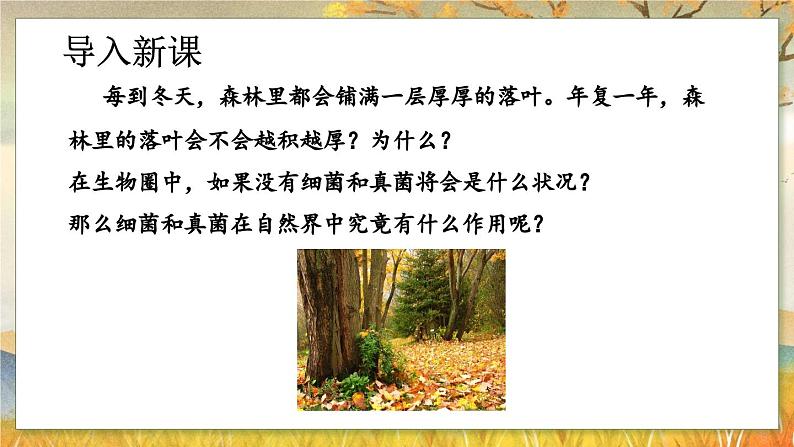 5.4.4  细菌和真菌在自然界中的作用-2024-2025学年生物八年级上册同步备课高效课件第4页