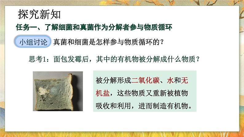 5.4.4  细菌和真菌在自然界中的作用-2024-2025学年生物八年级上册同步备课高效课件第5页