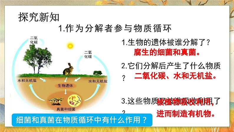 5.4.4  细菌和真菌在自然界中的作用-2024-2025学年生物八年级上册同步备课高效课件第6页