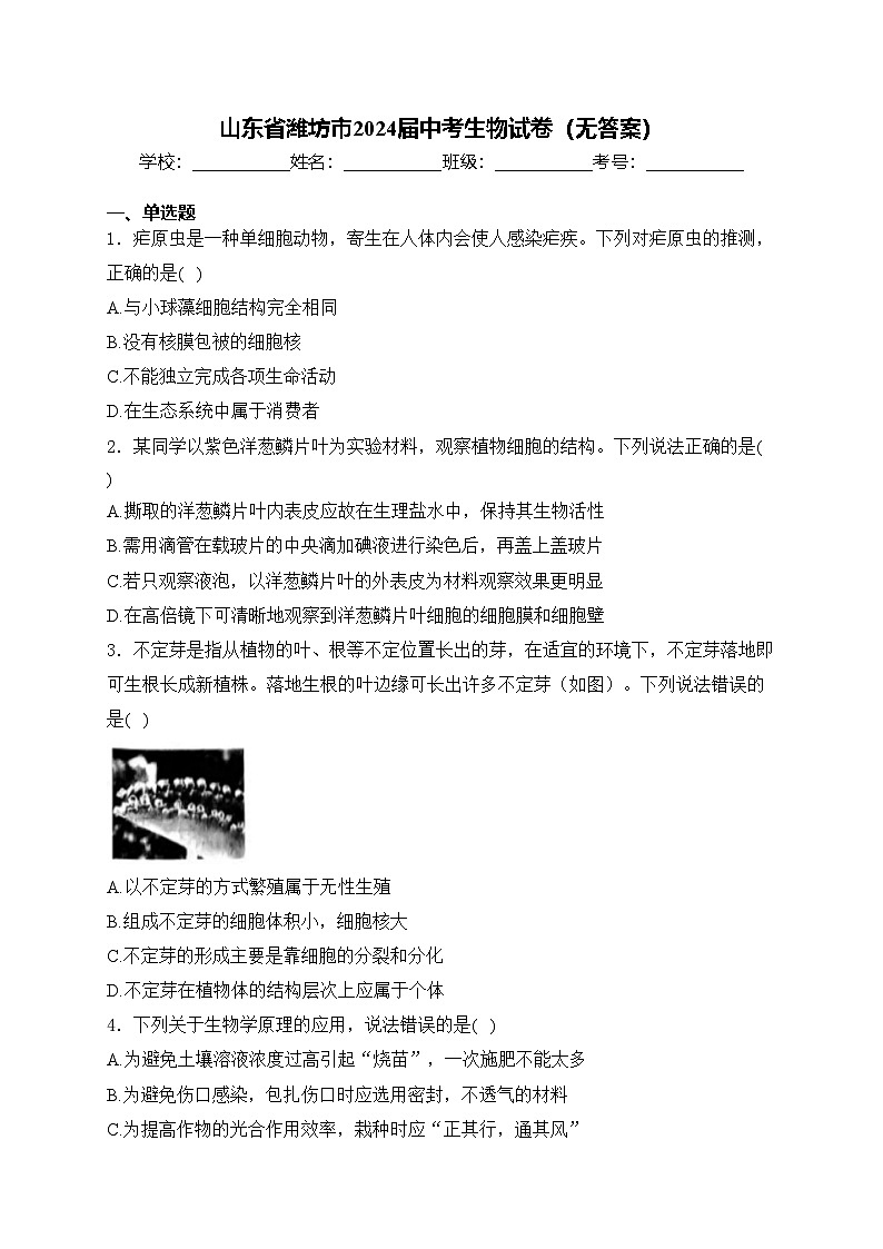 山东省潍坊市2024届中考生物试卷（无答案）01