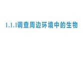 1.1.1调查周边环境中的生物 教学课件 人教版生物七年级上