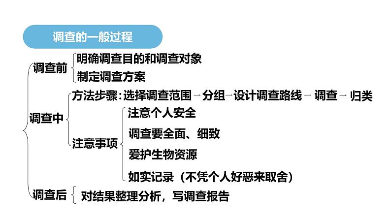 1.1.1调查周边环境中的生物 教学课件 人教版生物七年级上05