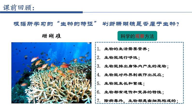 1.1.1调查周边环境中的生物 教学课件 人教版生物七年级上册02