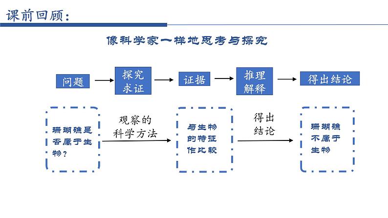 1.1.1调查周边环境中的生物 教学课件 人教版生物七年级上册03