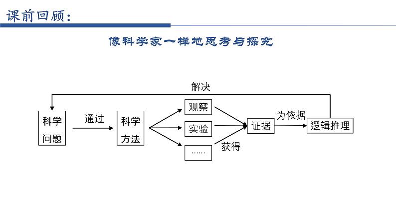 1.1.1调查周边环境中的生物 教学课件 人教版生物七年级上册04