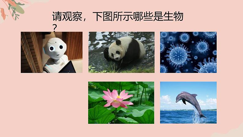 1.1.2生物的特征 教学课件 人教版生物七年级 上册02