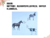 1.1.2生物的特征 教学课件 人教版生物七年级 上册
