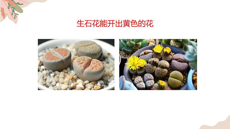 1.1.2生物的特征 教学课件 人教版生物七年级 上册05