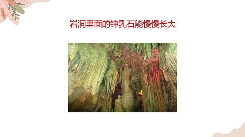 1.1.2生物的特征 教学课件 人教版生物七年级 上册06