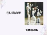 1.1.2生物的特征 教学课件 人教版生物七年级上