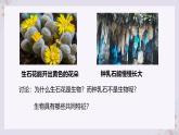1.1.2生物的特征 教学课件 人教版生物七年级上