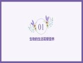 1.1.2生物的特征 教学课件 人教版生物七年级上