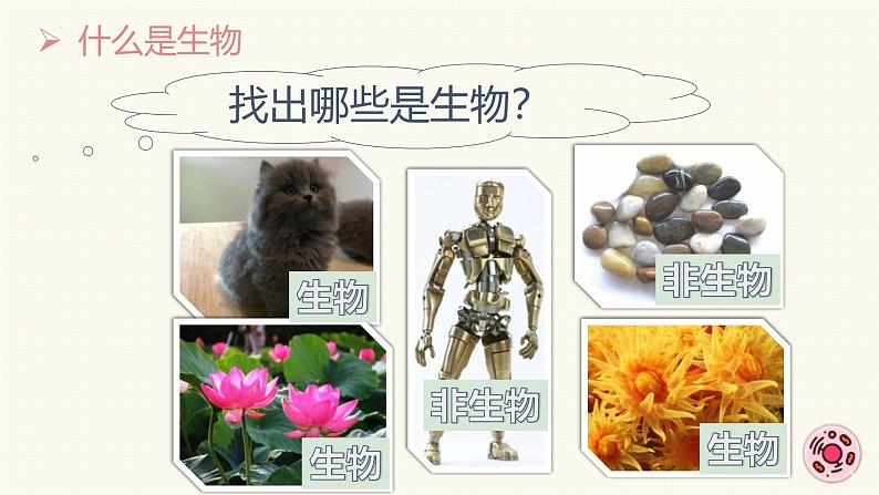 1.1.2生物的特征 教学课件 人教版生物七年级上册03