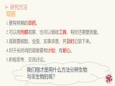 1.1.2生物的特征 教学课件 人教版生物七年级上册
