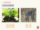 1.1.2生物的特征 教学课件 人教版生物七年级上册