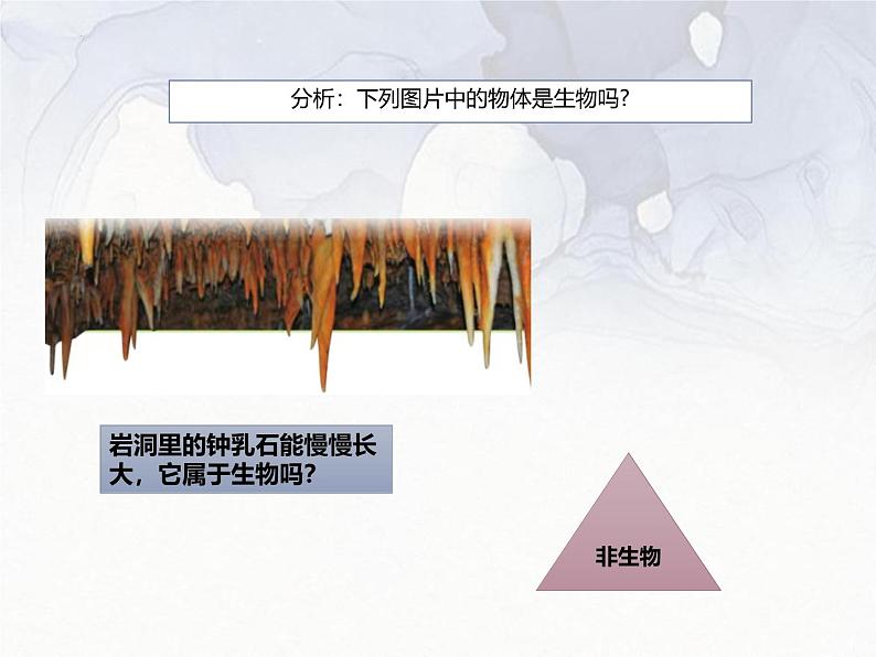 1.1.2生物的特征 课件 人教版生物七年级上册04