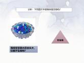 1.1.2生物的特征 课件 人教版生物七年级上册