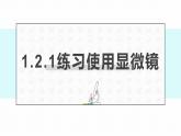 1.2.1练习使用显微镜 教学课件 人教版生物七年级上册