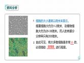 1.2.1练习使用显微镜 教学课件 人教版生物七年级上册