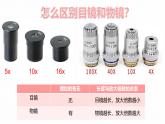 1.2.1练习使用显微镜 教学课件 人教版生物七年级上册