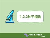 1.2.2种子植物 教学课件 人教版生物七年级上册