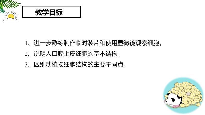 1.2.3动物细胞 教学课件 人教版生物七年级上册02