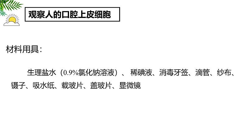 1.2.3动物细胞 教学课件 人教版生物七年级上册07