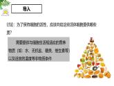 1.2.4细胞的生活 教学课件 人教版生物七年级 上册