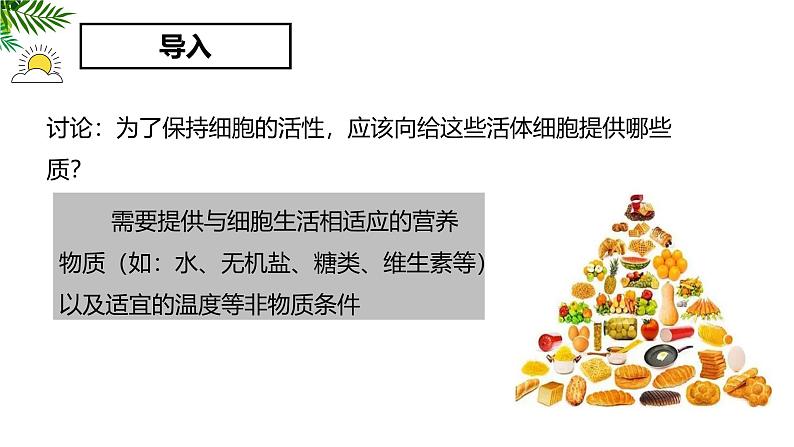 1.2.4细胞的生活 教学课件 人教版生物七年级 上册第5页