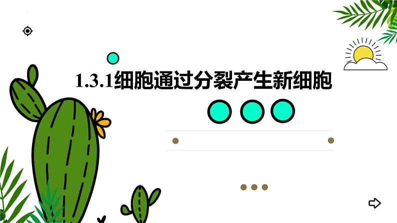 1.3.1细胞通过分裂产生新细胞 教学课件 人教版生物七年级上01