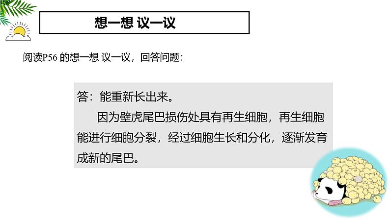 1.3.1细胞通过分裂产生新细胞 教学课件 人教版生物七年级上06