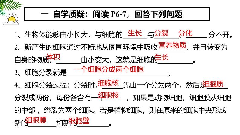 1.3.1细胞通过分裂产生新细胞 教学课件 人教版生物七年级上07