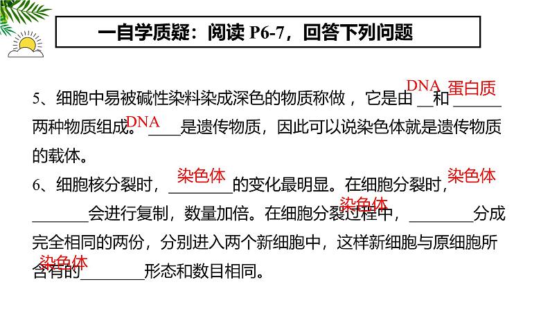 1.3.1细胞通过分裂产生新细胞 教学课件 人教版生物七年级上08