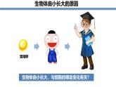 1.3.1细胞通过分裂产生新细胞 教学课件 人教版生物七年级上册