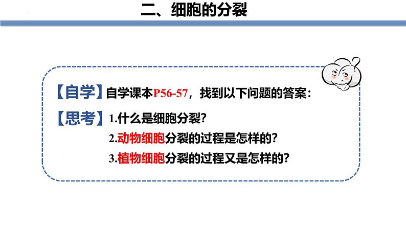 1.3.1细胞通过分裂产生新细胞 教学课件 人教版生物七年级上册06