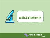 1.3.2动物体的结构层次 教学课件 人教版 生物七年级上