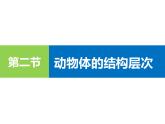 1.3.2动物体的结构层次 教学课件 人教版 生物七年级上册