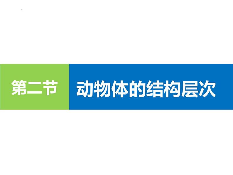 1.3.2动物体的结构层次 教学课件 人教版 生物七年级上册01