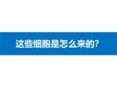 1.3.2动物体的结构层次 教学课件 人教版 生物七年级上册