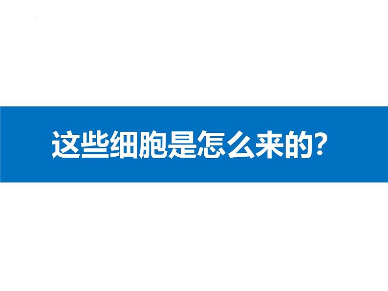 1.3.2动物体的结构层次 教学课件 人教版 生物七年级上册04