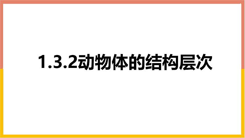 1.3.2动物体的结构层次 教学课件 人教版生物七年级 上册01