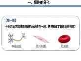 1.3.2动物体的结构层次 教学课件 人教版生物七年级上册