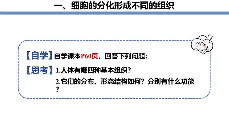 1.3.2动物体的结构层次 教学课件 人教版生物七年级上册06