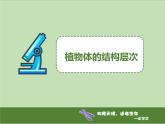 1.3.3植物体的结构层次 教学课件 人教版生物七年级上