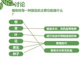 1.3.3植物体的结构层次 教学课件 人教版生物七年级上册