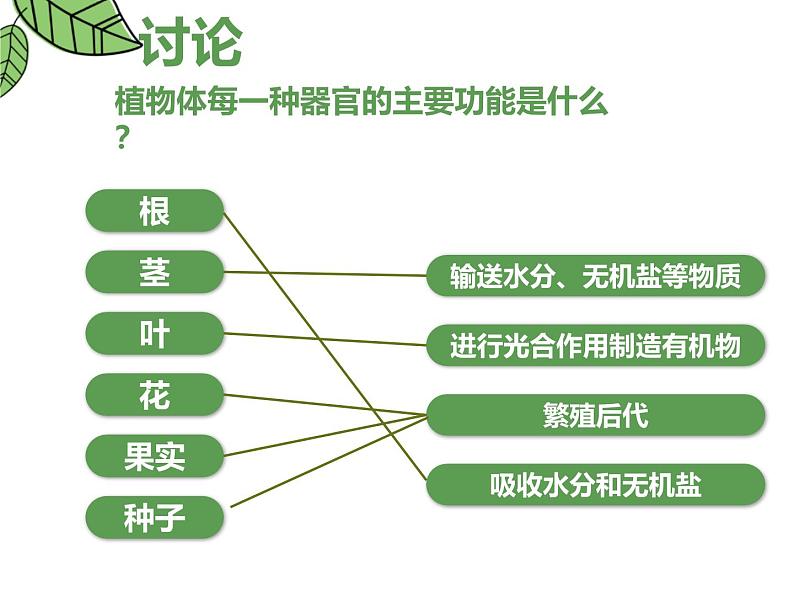 1.3.3植物体的结构层次 教学课件 人教版生物七年级上册05