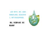 1.3.4单细胞生物 教学课件 人教版 生物七年级上册