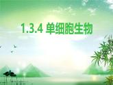 1.3.4单细胞生物 教学课件 人教版生物七年级 上册